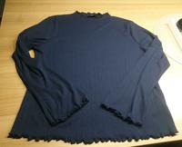 Langarmshirt Shirt  NEU  von bonprix  tragbar Gr 42 blau Nordrhein-Westfalen - Rees Vorschau