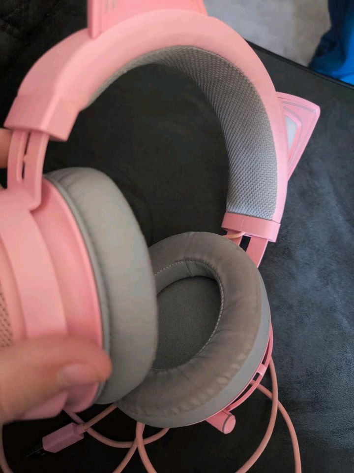 Razer Kraken Kitty Edition Headset in Spessart