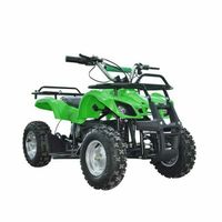 Elektro Quad 800W Quad ATV verschiedene Modelle B-Ware Nordrhein-Westfalen - Greven Vorschau