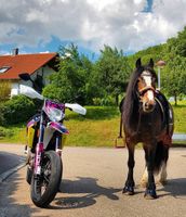 Prinzessinnen Pony sucht Reiter/in Baden-Württemberg - Ottenbach Vorschau