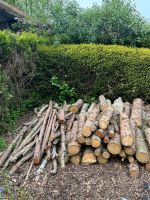 Feuerholz ca 3kubik Lieferung möglich Niedersachsen - Neuhaus Vorschau