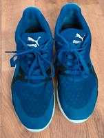 Puma Sportschuhe/Sneakers Herren, Größe 42, blau Bayern - Kronach Vorschau