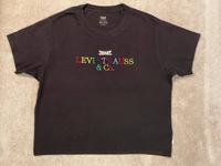 Levi's  Kurzarmshirt, schwarz, Schriftzug bunt gestickt, Gr. XS Hessen - Königstein im Taunus Vorschau