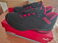 Puma Sportschuhe  Sneaker Größe 37 neu Schleswig-Holstein - Immenstedt Vorschau