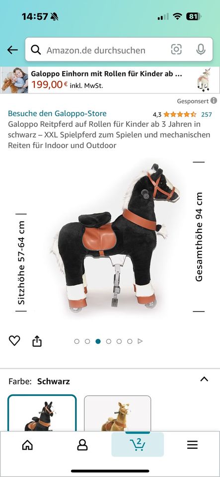 Reitpferd für Kinder in Bevern