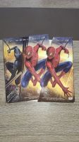 Pappschuber Spiderman 3 DVD mit Special Bonus CD Box Hessen - Offenbach Vorschau