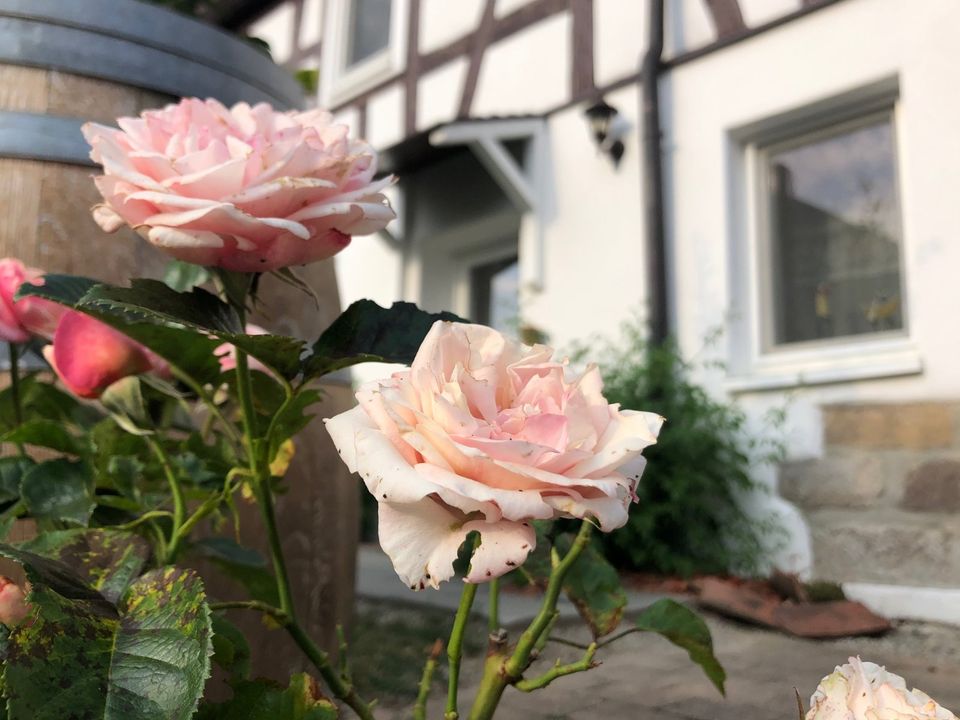 Ferienwohnung Monteurzimmer Gästezimmer Fewo I Ilshofen in Ilshofen