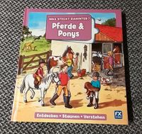 Buch Was steckt dahinter? Pferde & Ponys Bayern - Bärnau Vorschau