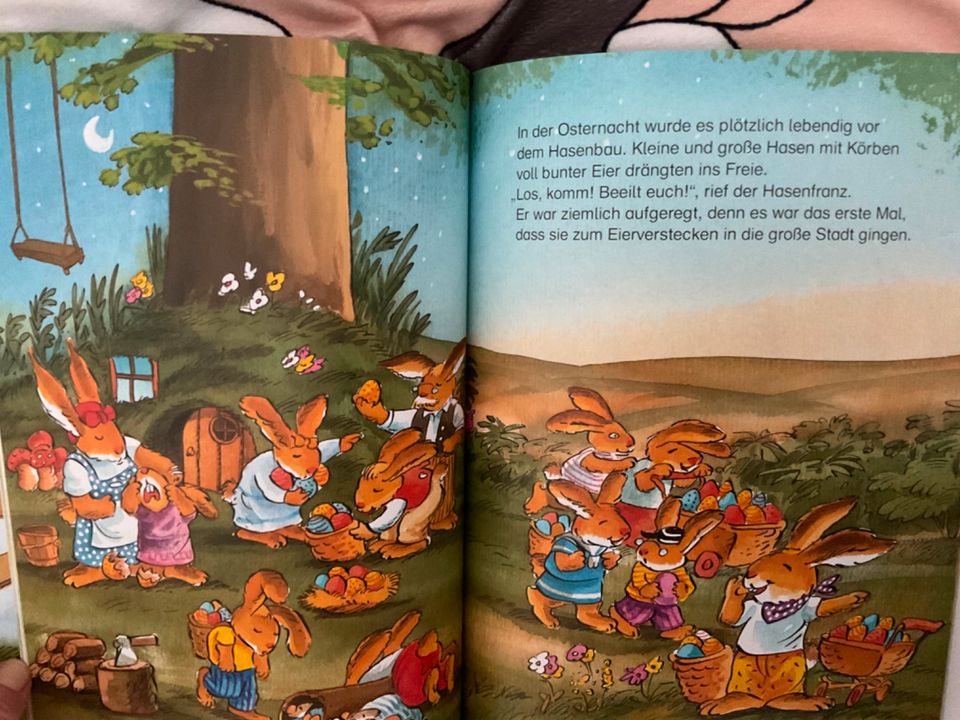 Die schönsten Geschichten vom Hasenfranz // Ostern Buch in Pocking