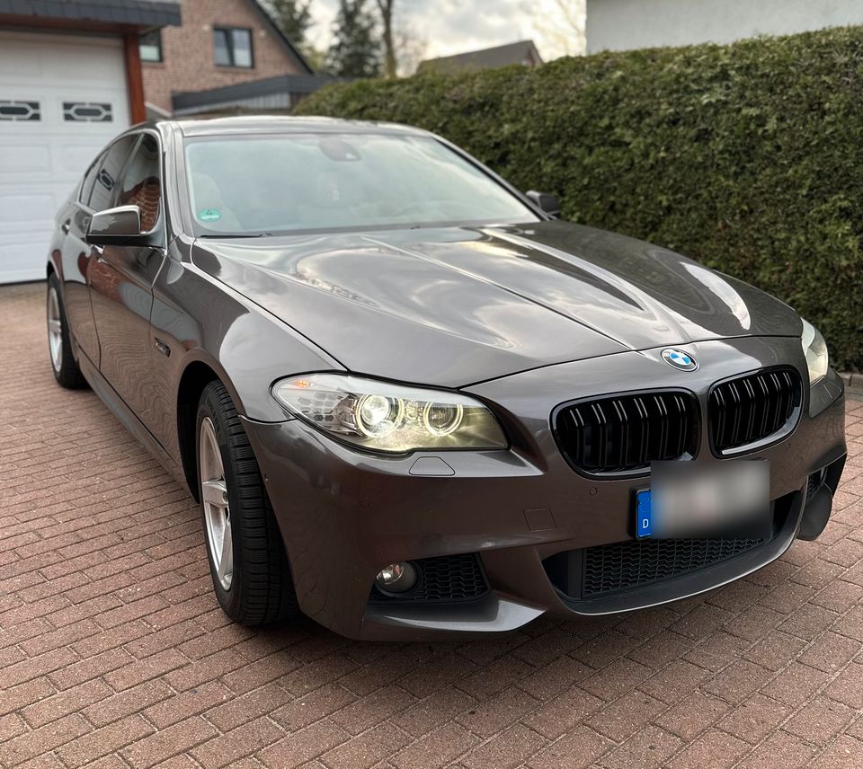 BMW 530d F10 in Melbeck