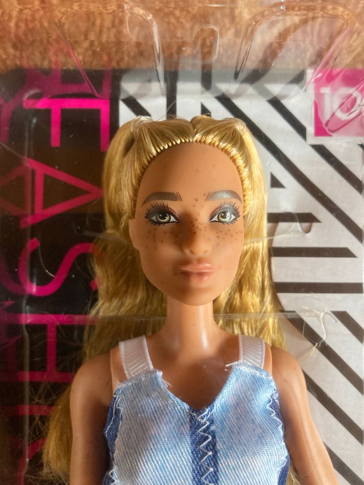 Barbie FASHIONISTAS Nr 108 in Diera-Zehren