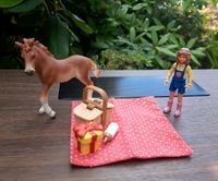 Schleich Set Pferd Mädchen Picknick Saarland - St. Ingbert Vorschau