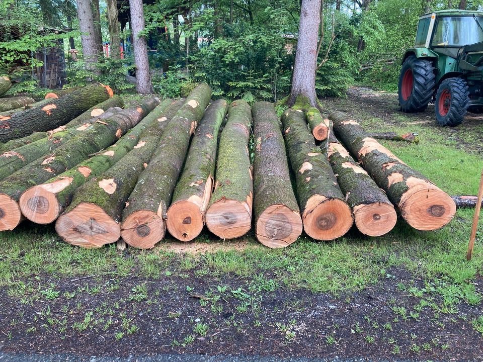 Esche Rundholz Holz, kein Brennholz in Bad Feilnbach