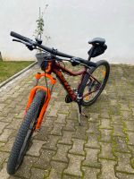 Scott Damen Mountainbike Rheinland-Pfalz - Partenheim Vorschau