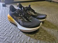 Asics Novablast 4 Bayern - Schrobenhausen Vorschau