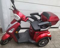 ROLEKTRO E-Trike 25 V2 Senioren Elektromobil Hessen - Mühlheim am Main Vorschau