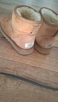 UGG Stiefeletten 37 Baden-Württemberg - Aulendorf Vorschau