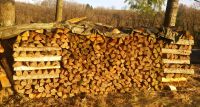 Brennholz Fichte Holz trocken Rheinland-Pfalz - Plascheid Vorschau