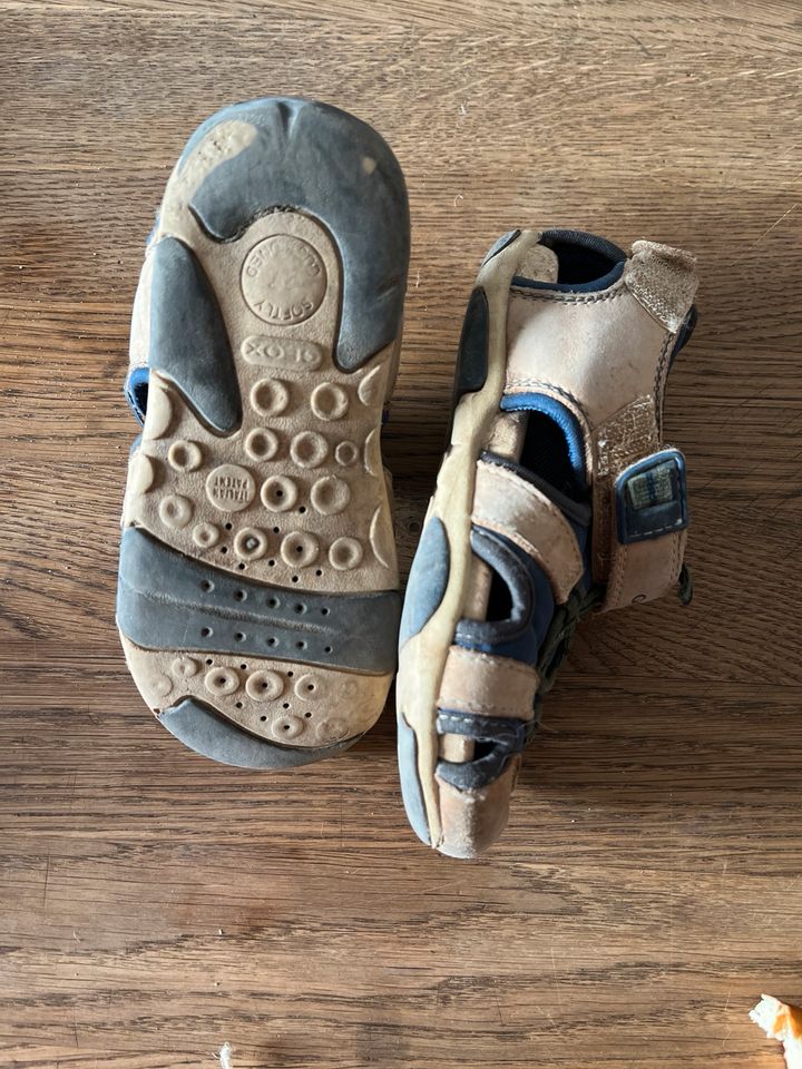 Geox Sandalen 27 in Billigheim-Ingenheim