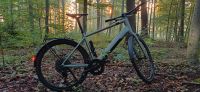 Ebike canyon commuter:on Größe L Aachen - Aachen-Mitte Vorschau