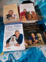 Bücher von cesar millan Saarland - Nalbach Vorschau