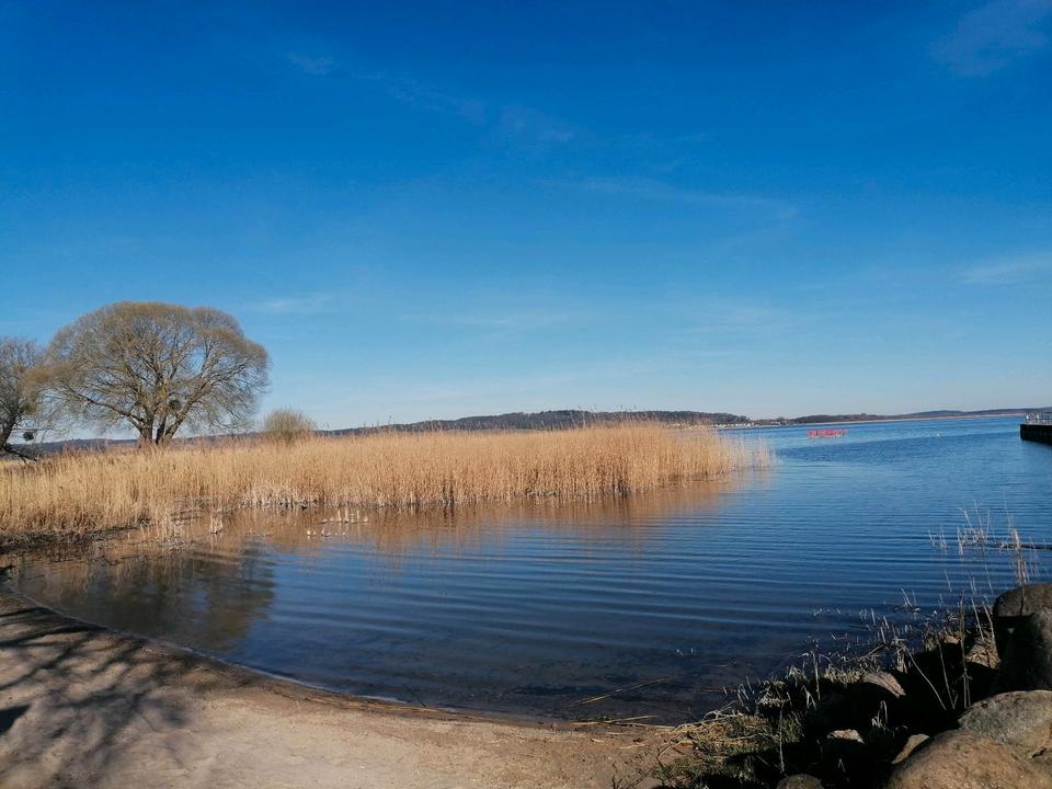 Exclusives Anwesen in der mecklenburgischen Seenplatte in Kummerow (bei Malchin)