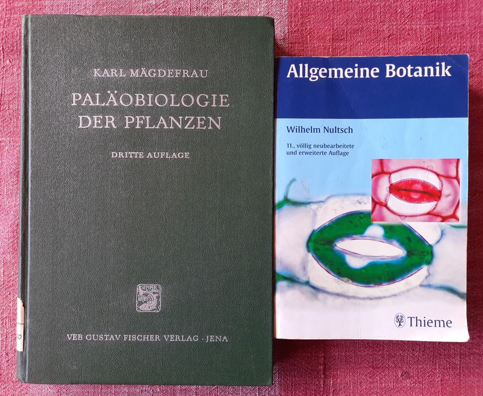 Allgemeine Botanik v. Wilhelm Nultsch+ Paläobiologie der Pflanzen in Durmersheim