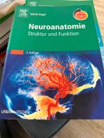 Neuroanatomie - Martin Trepel Dortmund - Lütgendortmund Vorschau
