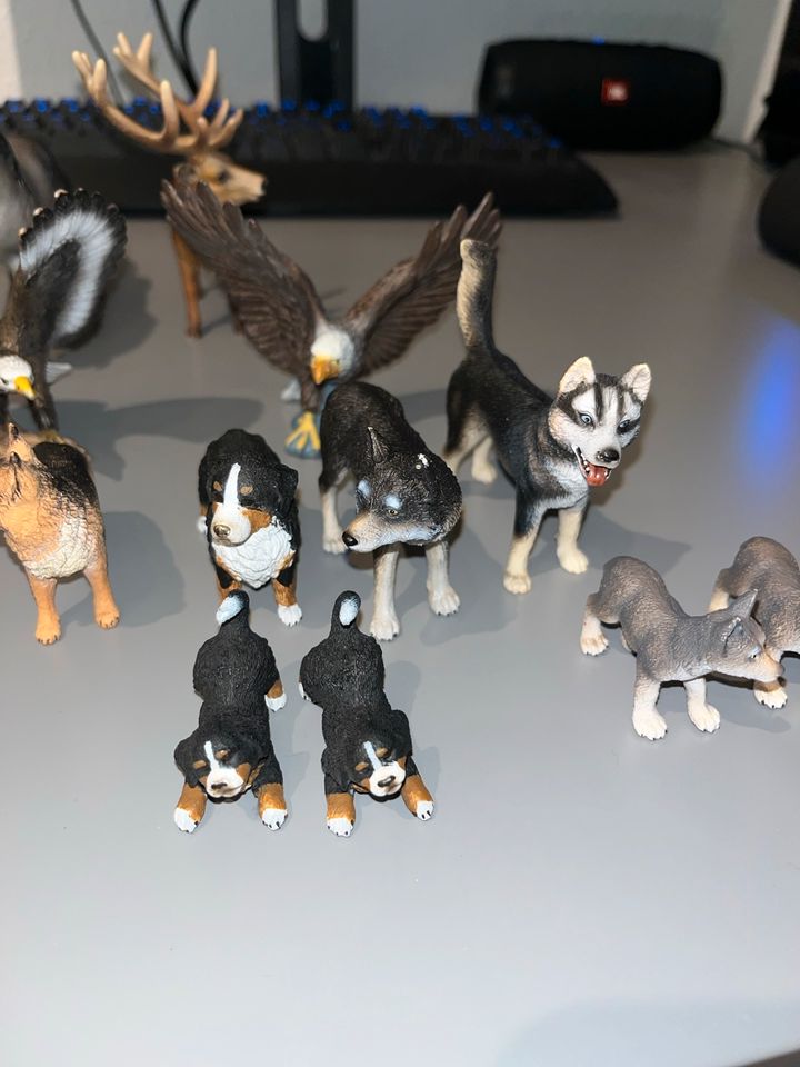 Schleich Sammlung Adler Pferd Hunde und Welpen in Bönnigheim