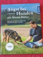 Training für Angsthunde, ängstliche Hunde Schleswig-Holstein - Lindewitt Vorschau