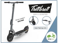 eScooter | e-Scooter | Trittbrett Sultan | 500 Watt | Akku 15 Ah Bayern - Stadtlauringen Vorschau