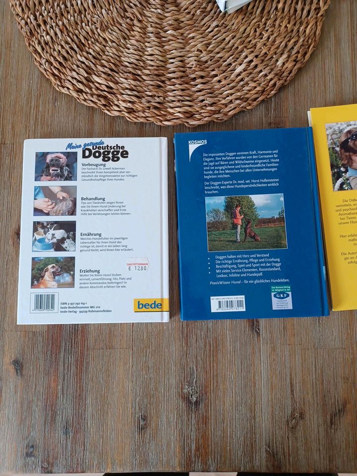 5 Bücher Hundebücher Deutsche Dogge, Aromatherapie, Hund und Kind in Süsel