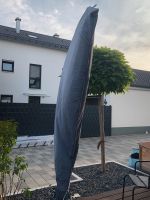 Sonnenschirm Easy Sun Parasol Anthrazit Bayern - Illertissen Vorschau