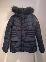 Gaastra Damen Winterjacke Steppjacke  in L dunkelblau Baden-Württemberg - Freiburg im Breisgau Vorschau