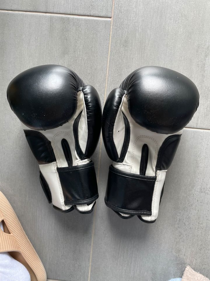 Boxhandschuhe Classic in Syrgenstein