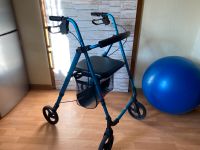 Rollator Sitzball Hessen - Friedberg (Hessen) Vorschau