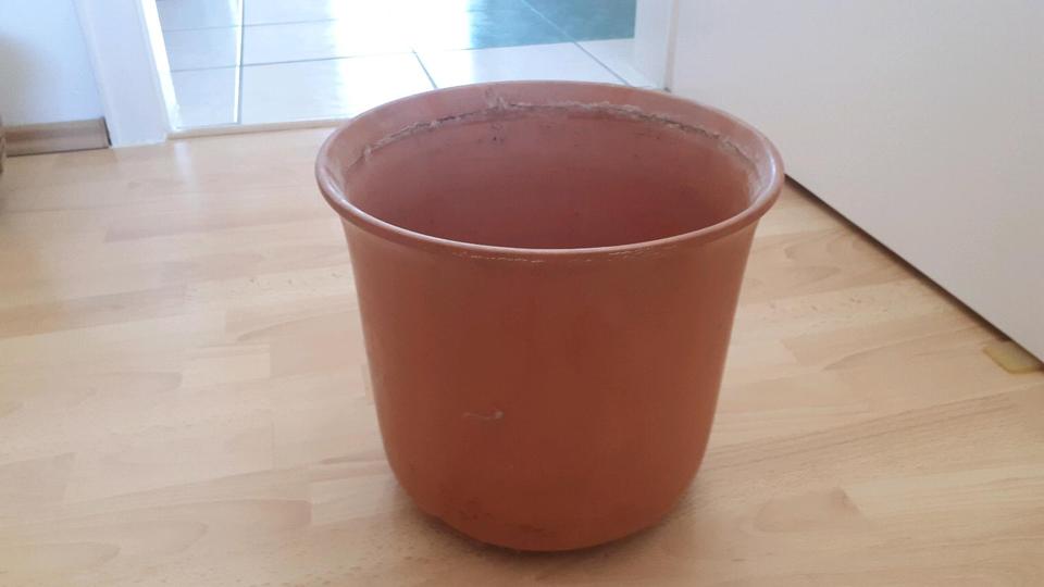 Terrakotta Topf Kübel groß Tontopf Blumentopf Pflanzkübel in Reinbek