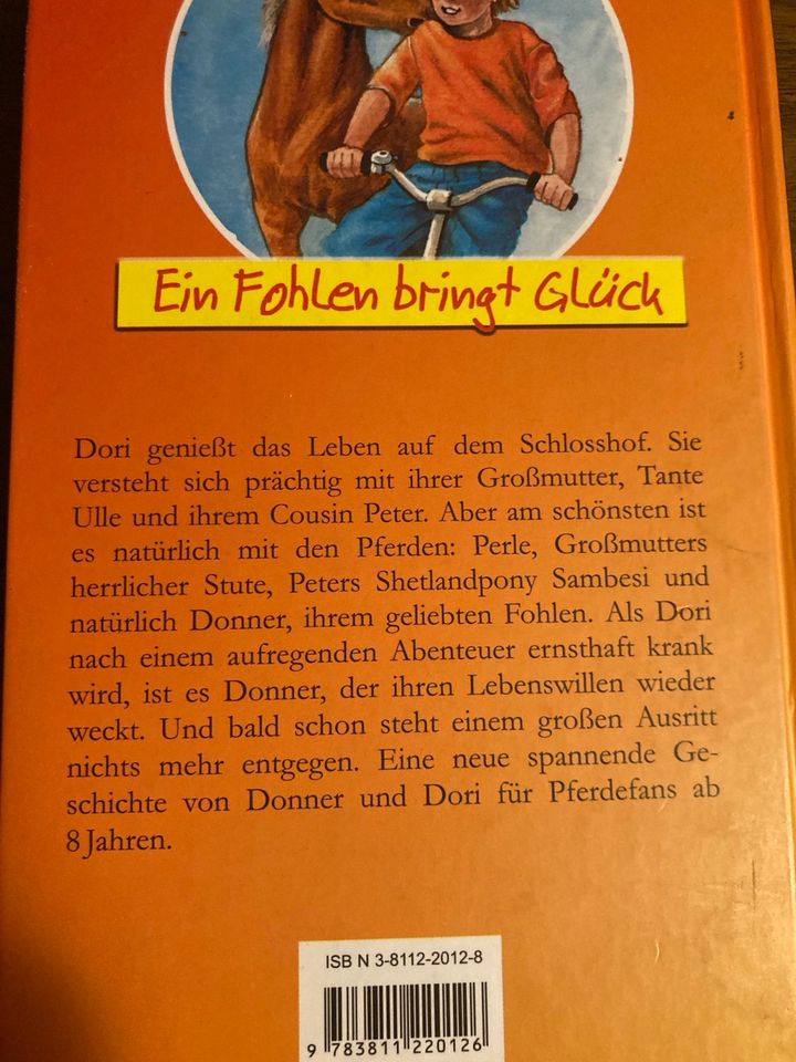 Buch „Donner & Doria ein Fohlen bringt Glück“ Pferde in Heidelberg