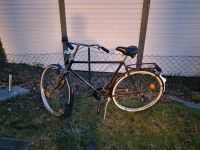 Fahrrad zu verkaufen Niedersachsen - Moormerland Vorschau