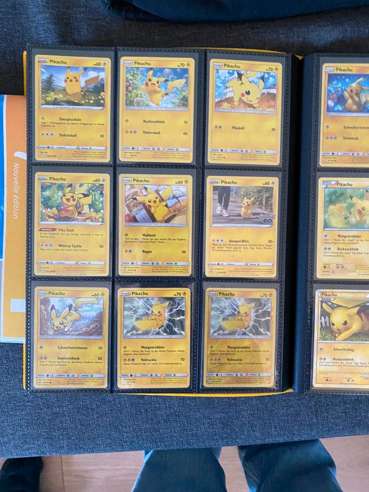Pokémon Sammlung in Markkleeberg