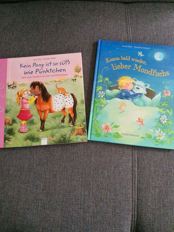 Kinderbücher zum Vorlesen Pony und der Mondfuchs Coppenrath in Cloppenburg