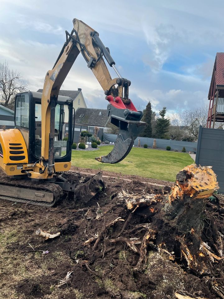 Gartenpflege Gartenhilfe Heckenschnitt Baumfällung in Lauterbach (Hessen)