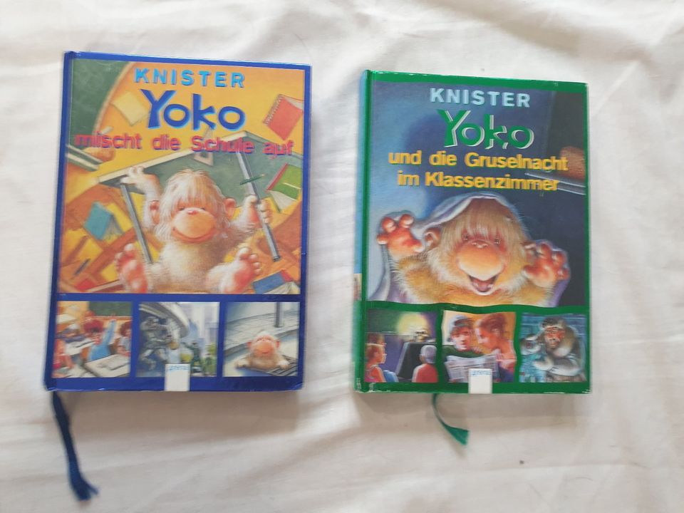 Hexe Lilly Buch CD DVD MC u.a. Knister Sammlung Erstleser Yoko in Metzingen