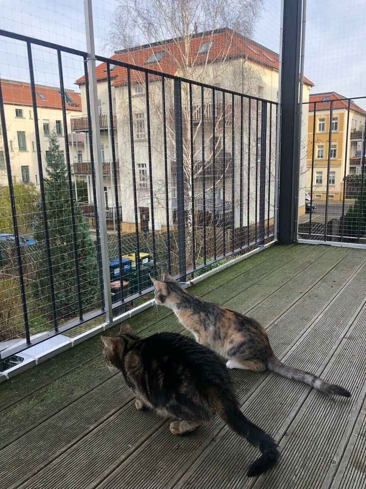 KATZENNETZ MONTAGE BALKON FENSTER I KATZENNETZE WOLFRAM I Leipzig in Leipzig