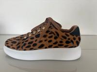 Leoparden Sneaker Hamburg-Nord - Hamburg Winterhude Vorschau