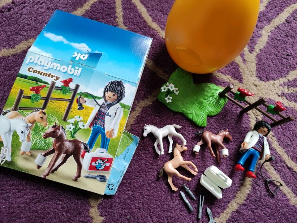 Playmobil Country 9207 Tierärztin mit Fohlen Ei vollständig in  Nordrhein-Westfalen - Krefeld | Playmobil günstig kaufen, gebraucht oder  neu | eBay Kleinanzeigen ist jetzt Kleinanzeigen