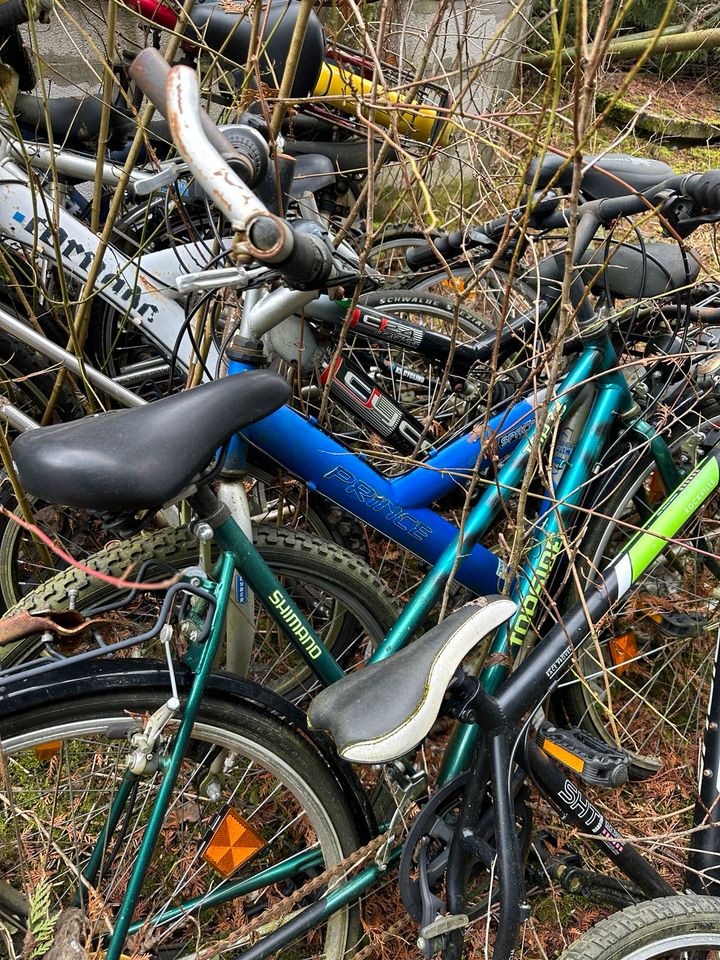 Fahrrad Fahrräder in Landshut