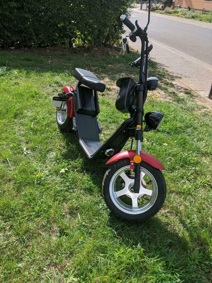 Elektro Scooter mit Straßenzulassung in Großostheim