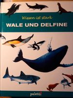 Wale und Delfine Schleswig-Holstein - Sülfeld Vorschau