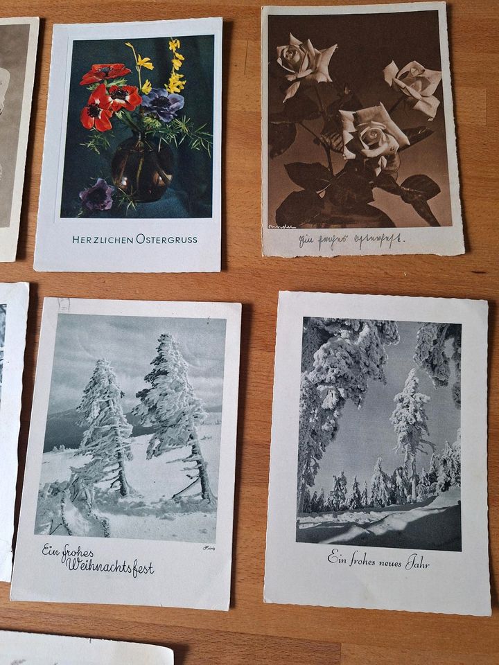 Alte Ansichtskarten ( Blumen) in Neunkirchen a. Brand